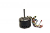 HC41AE117.jpg